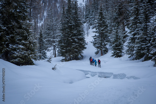 Escursionisti in un bosco innevato