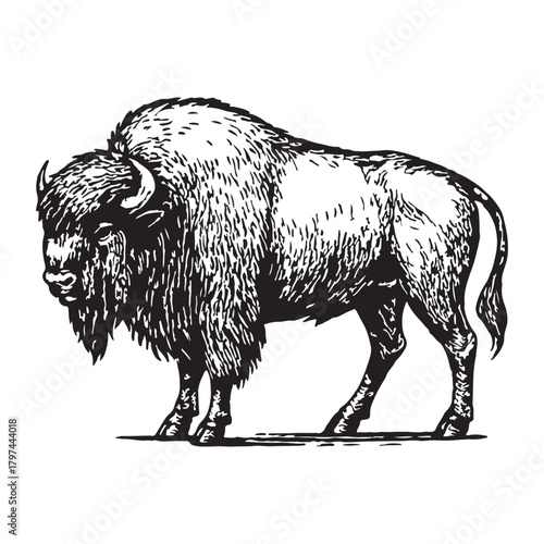 A vintage-style, detailed black and white illustration of a majestic American bison, standing powerfully and exuding a sense of wild, untamed nature and historical significance in a Western landscape