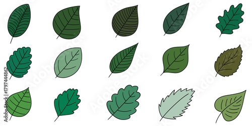 Hand-drawn cartoon set of green leaves on a white background.