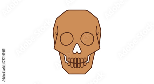 Geometric Brown Human Skull Illustration with Detailed Teeth.