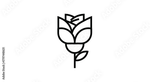 Minimalist flower rosebud tulip line art vector illustration
