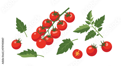 Vibrant illustration of a cluster of ripe red cherry tomatoes on the vine with fresh green leaves, perfect for healthy eating and salads.