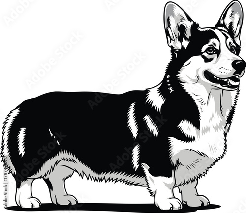 Black and white corgi dog vector illustration pet animal drawing art eps silhouette