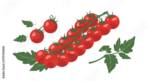 Vibrant illustration of a cluster of ripe red cherry tomatoes on the vine with fresh green leaves, perfect for healthy eating and salads.