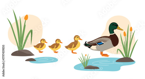Mother duck leading her ducklings through water with cattails in the background, illustrating nature, family, and spring wildlife.