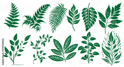 Green botanical leaves vector set with tropical foliage, fern, branch, and nature elements. Perfect for eco design, patterns, backgrounds, and natural illustration projects