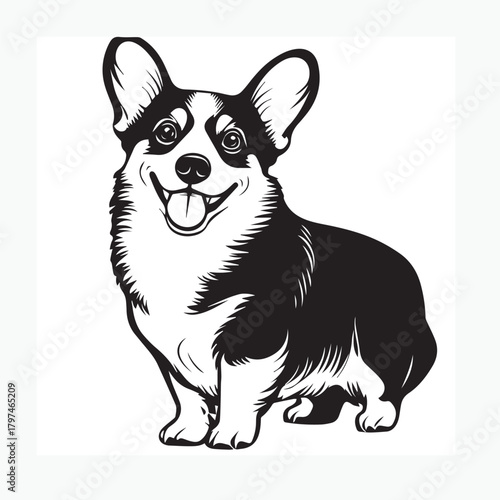 vector image of a corgi dog
