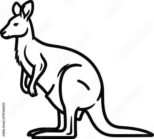 Kangaroo outline drawing vector illustration australian animal art eps silhouette