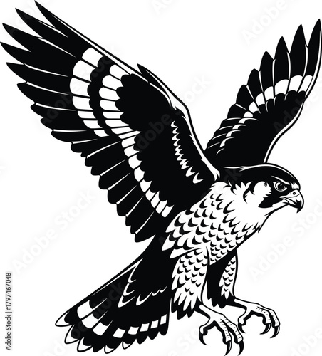 Vector graphic of a flying falcon bird of prey black and white design eps silhouette