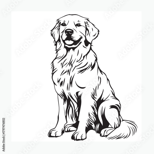 dog with bone