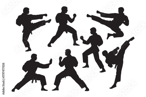 Collection of martial arts karate fighters performing dynamic kicks and punches silhouette isolated on white background
