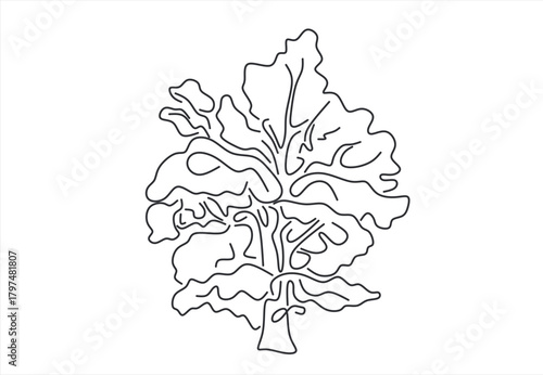  tree line icon vector .tree sign. isolated contour symbol black illustration. line drawing. Editable stroke. 