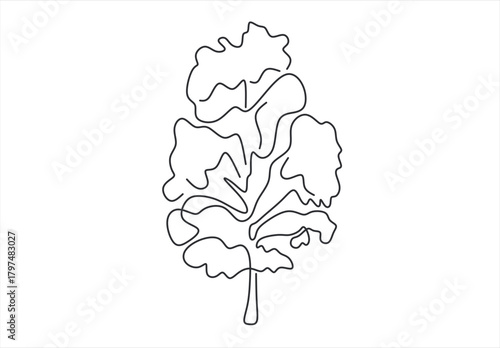  tree line icon vector .tree sign. isolated contour symbol black illustration. line drawing. Editable stroke. 