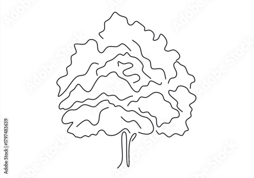  tree line icon vector .tree sign. isolated contour symbol black illustration. line drawing. Editable stroke. 