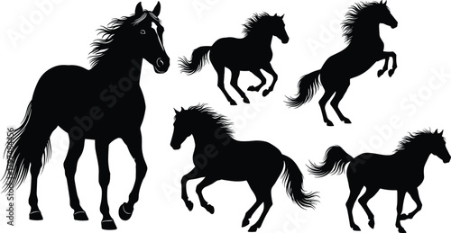 Horse silhouette, black horse, rearing horse, galloping horse, walking horse, animal pose, equine motion, horse anatomy, wild horse, stallion silhouette, horse vector, horse pack, dynamic