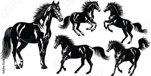 Horse silhouette, black horse, stylized horse, rearing horse, trotting horse, horse motion, equine anatomy, horse illustration, horse vector, horse pose, dynamic horse,