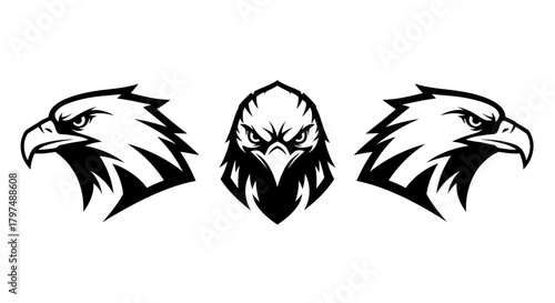 Fierce American Eagle Head Vector Set - Bird of Prey Mascot or Logo Design