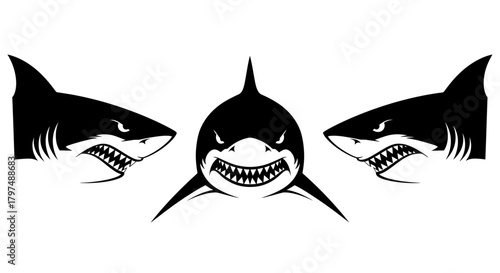 Fierce Shark Head Vector Set with Open Jaws - Aggressive Ocean Predator Mascot