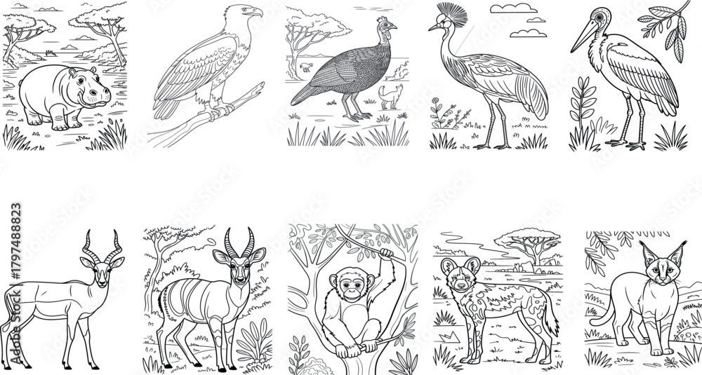 Fototapeta premium PrintBirds Coloring Pages
