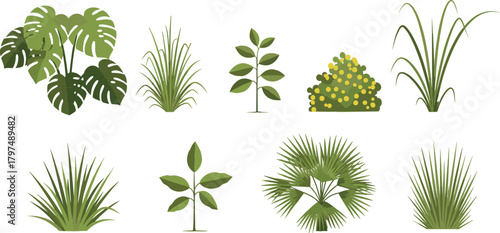 Collection of tropical and garden plant illustrations featuring various leaves, bushes and grasses for landscape design, botanical artwork and nature-themed projects