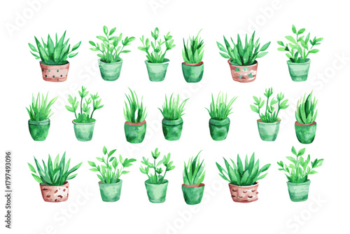 Watercolor seamless pattern of home plants in pots, Hand painted green flowers for textile
