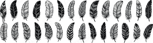 Assorted decorative bird feathers in a stylized hand drawn pattern with solid and intricate detailed designs
