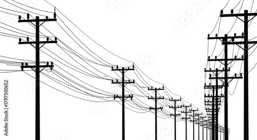 Silhouette of multiple utility poles with long stretching power lines creating perspective, illustrating electricity distribution, infrastructure network, rural connection, and communication pathways