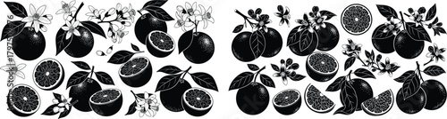 Stylized silhouettes of oranges, blossoms, and leafy branches depicting a natural botanical citrus collection