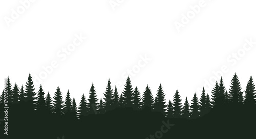 Silhouette of a dense evergreen forest against a plain white background.