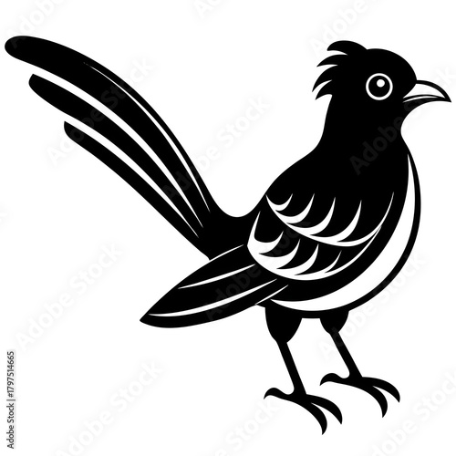 vector illustration of a bird