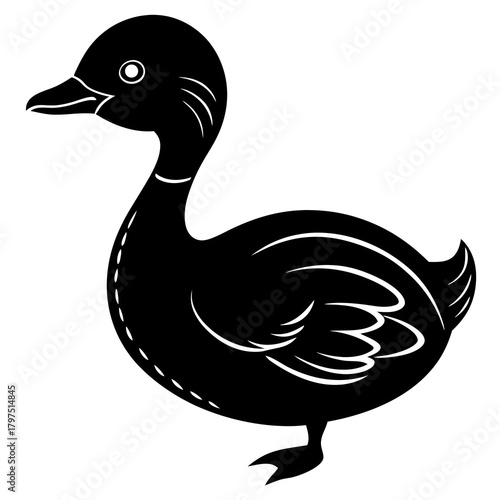 duck isolated on white background