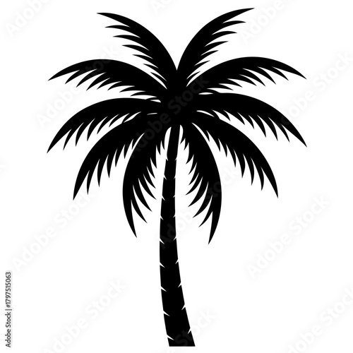 palm trees silhouette