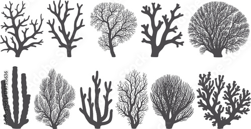 Coral silhouette, marine shape collection, black ocean icons, underwater reef design, sea life graphic, nature symbol, aquatic structure illustration