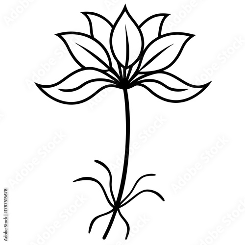 black and white silhouettes of flowers