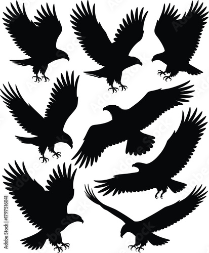 Eagle silhouette, flying pose collection, black bird icons, raptor motion design, nature symbol, predator wings, wildlife graphic, majestic flight artwork