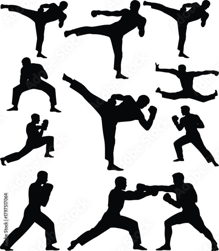 Martial arts silhouette, combat pose collection, black fighter icons, karate kick design, taekwondo stance, mixed martial arts, action illustration