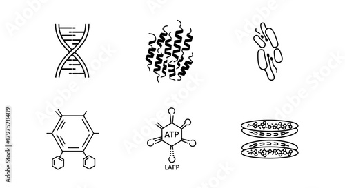Explore the Microscopic World with these Science Diagrams Showing DNA, ATP, and Cell Structures in Black and White for Educational Use