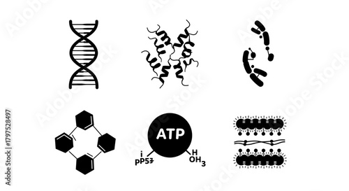 Explore the wonders of molecular biology with this fascinating collection of DNA, ATP, and protein structures for innovative scientific designs and educational materials