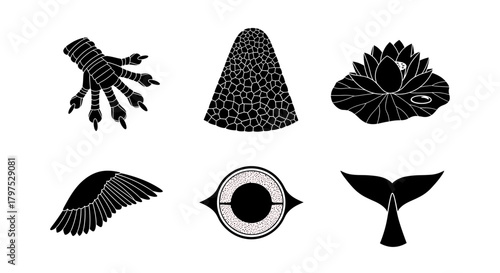 Mystical black and white collection of dragon claw, flower, wing, eye, tail and scales for fantasy story illustration or logo design inspiration