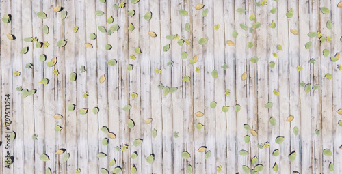 Fototapeta Naklejka Na Ścianę i Meble -  Fallen leaves on vintage wood 3d, wood 3d, leaf 3d, simple 3d, simple background, wood