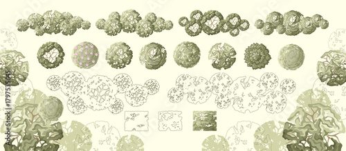 Tree for architectural floor plans. Entourage design. Various trees, bushes, and shrubs, top view for the landscape design plan. Vector illustration.