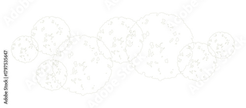 Trees for urban planning and architectural plans. Outline vector for landscape design and exterior entourage.