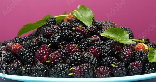 Black berries of mulberry lies on blue plate and rotates. Mulberry - fruit tree whose fruits have many beneficial properties. Morus, genus of flowering plants in family Moraceae