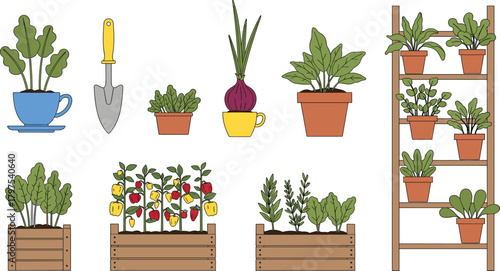 Urban Home Container Gardening Vector Set with Herbs, Vegetables, Shovel, and Potted Plants, Ideal for Indoor Farming and Sustainable Living Concepts.