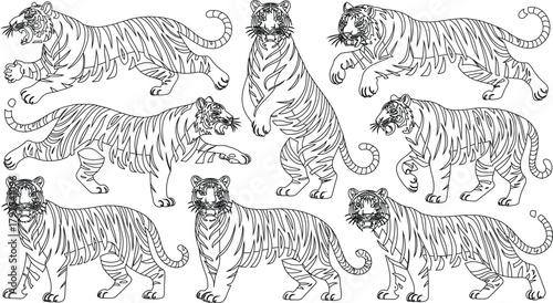 Illustrated Collection Outlined Tigers in Various Poses, Perfect for Coloring or Design Projects