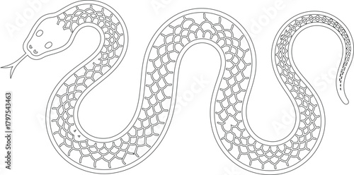 Intricate Line Art Illustration Curvy Snake with Scales, Head, Eyes, Tongue, and Tapered Tail
