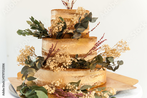 Big cake with chocolate and capuccino cream