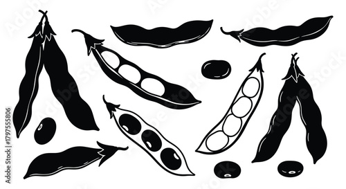 Black and white vector illustration of soy beans and soy pods
