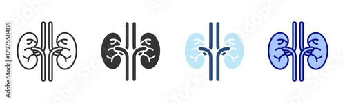 Kidney Icon Set. Designed In Multi Style
