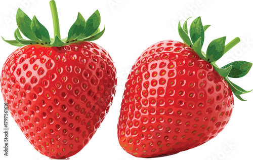 Two Fresh and Ripe Red Strawberries Vector Illustration with Green Leaves, Excellent for Healthy Food, Dessert, and Juice Packaging Design.